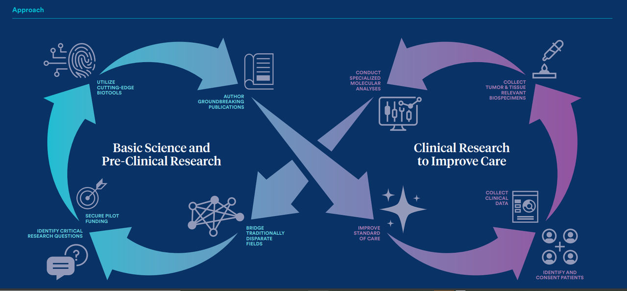 Our Efforts - Translational Research Lifecycle